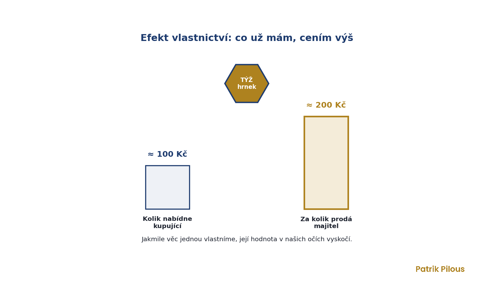Efekt vlastnictví: týž hrnek ceníme výš, jakmile ho vlastníme