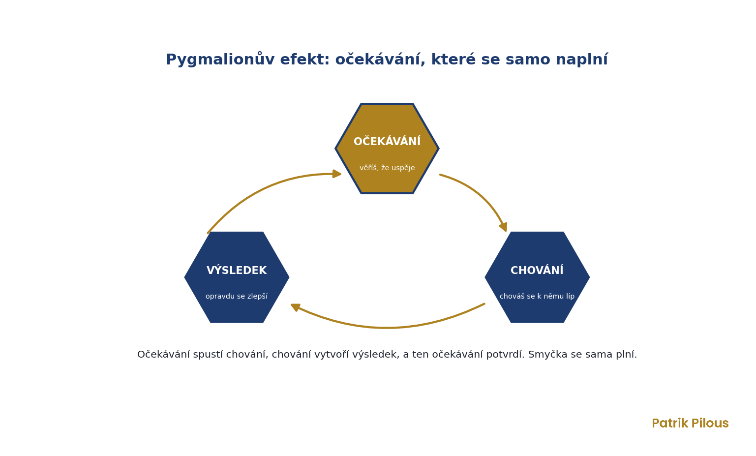 Pygmalionův efekt: očekávání spustí chování, chování vytvoří výsledek, který očekávání potvrdí