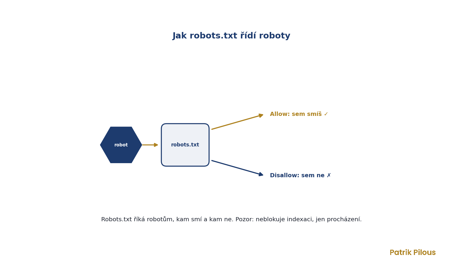Jak robots.txt řídí roboty: robot si přečte pravidla a podle Allow a Disallow ví, kam smí a kam ne