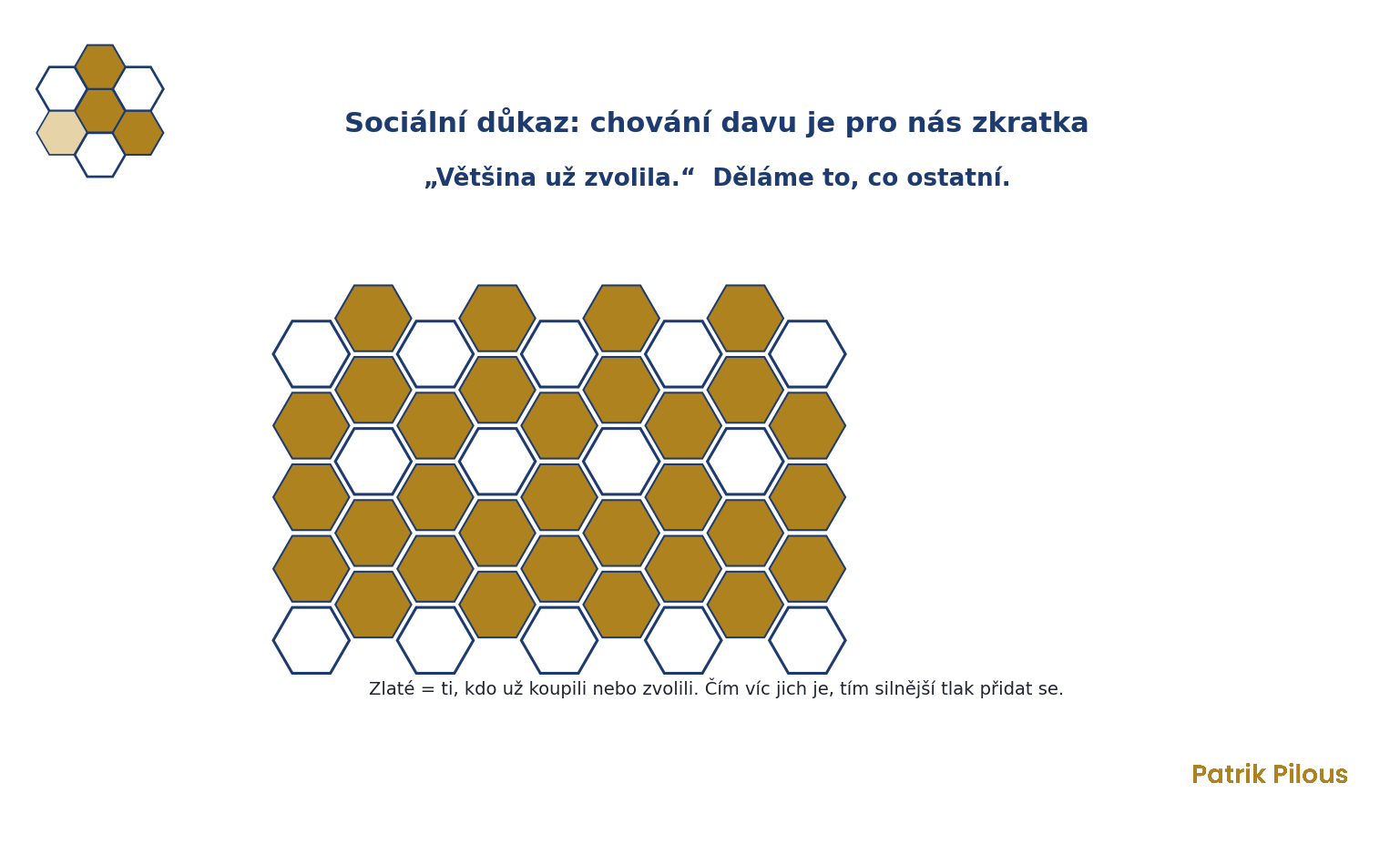 Sociální důkaz: chování davu bereme jako zkratku k bezpečné volbě